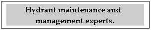 Text Box: Hydrant maintenance and   management experts.
